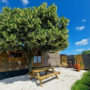 Tiny House Petite Balneo Cheminee Exterieure Lisle-sur-Tarn